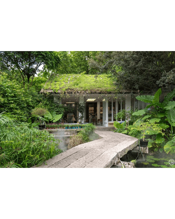 深圳福田園博園4大仙氣打卡Cafe🍎巨型大蘋果+南法莊園下午茶☕️仲有得近距離摸袋鼠！