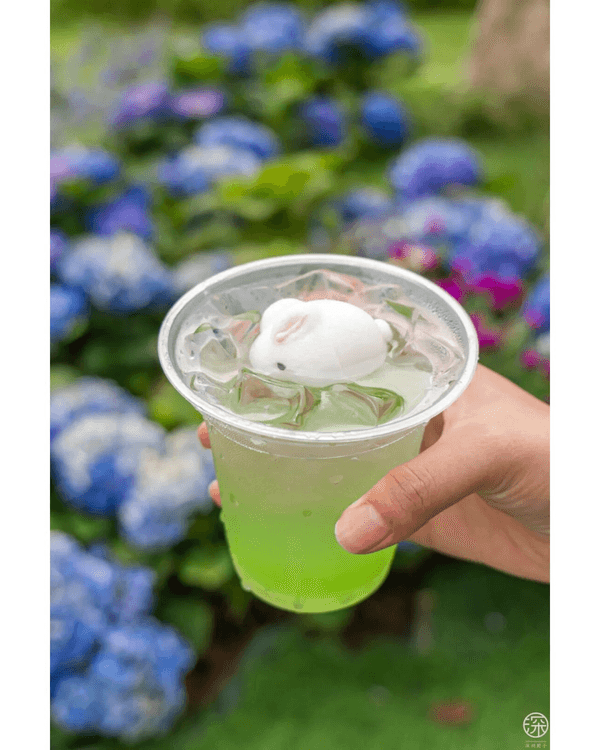 深圳福田園博園4大仙氣打卡Cafe🍎巨型大蘋果+南法莊園下午茶☕️仲有得近距離摸袋鼠！