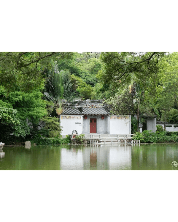 深圳福田園博園4大仙氣打卡Cafe🍎巨型大蘋果+南法莊園下午茶☕️仲有得近距離摸袋鼠！