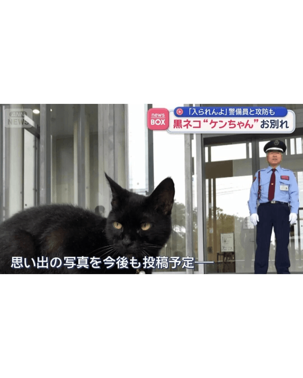 日本黑貓與保安「大戰」8年🐱終於成功闖入美術館！保安親抱畫面惹喊網友😭