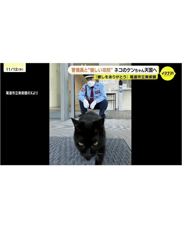 日本黑貓與保安「大戰」8年🐱終於成功闖入美術館！保安親抱畫面惹喊網友😭