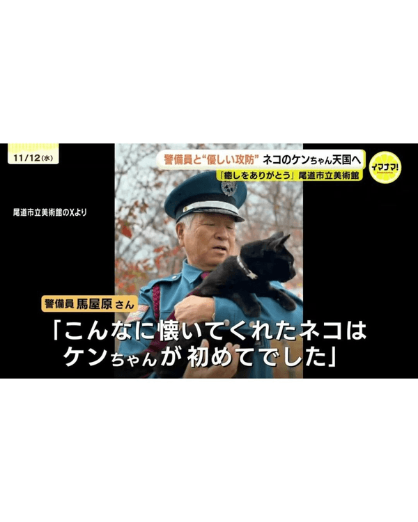 日本黑貓與保安「大戰」8年🐱終於成功闖入美術館！保安親抱畫面惹喊網友😭