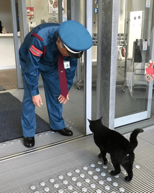 日本黑貓與保安「大戰」8年🐱終於成功闖入美術館！保安親抱畫面惹喊網友😭