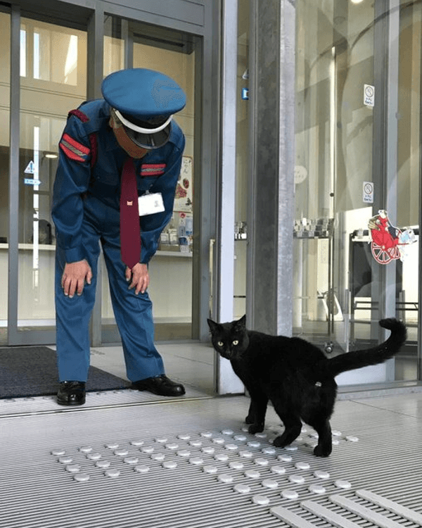 日本黑貓與保安「大戰」8年🐱終於成功闖入美術館！保安親抱畫面惹喊網友😭