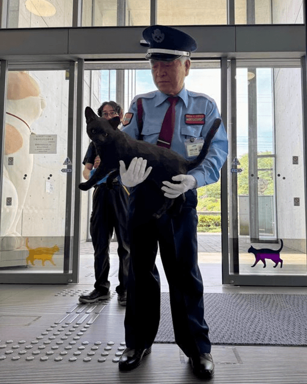 日本黑貓與保安「大戰」8年🐱終於成功闖入美術館！保安親抱畫面惹喊網友😭