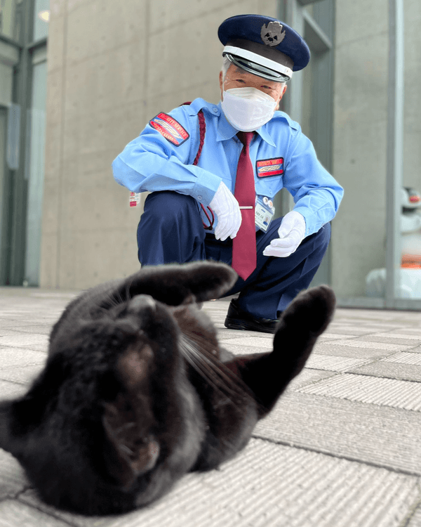 日本黑貓與保安「大戰」8年🐱終於成功闖入美術館！保安親抱畫面惹喊網友😭