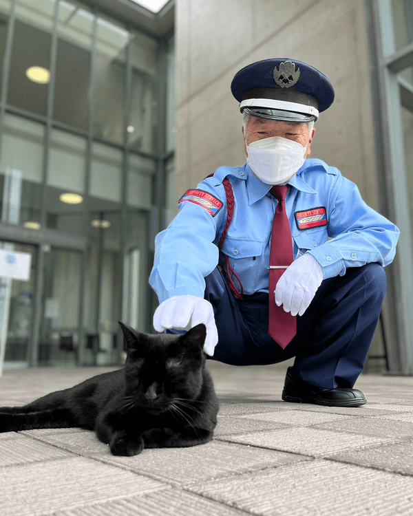 日本黑貓與保安「大戰」8年🐱終於成功闖入美術館！保安親抱畫面惹喊網友😭