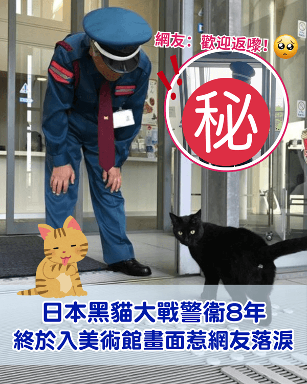 日本黑貓與保安「大戰」8年🐱終於成功闖入美術館！保安親抱畫面惹喊網友😭