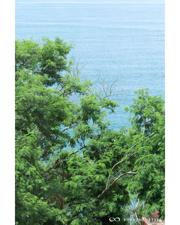 深圳龍崗南法風懸崖度假區爆紅🏖️無邊際泳池+海景餐廳必打卡🍴獨享玻璃海勁Chill