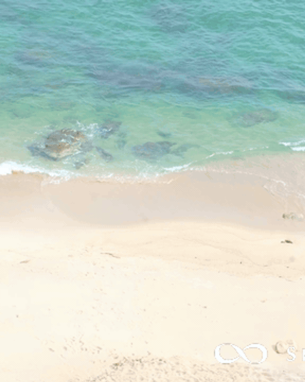 深圳龍崗南法風懸崖度假區爆紅🏖️無邊際泳池+海景餐廳必打卡🍴獨享玻璃海勁Chill