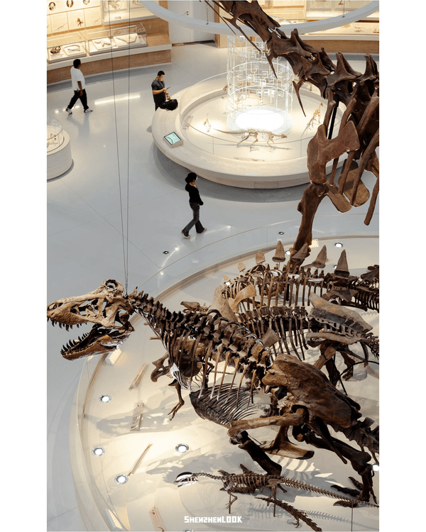 深圳坪山自然博物館開幕🐘華南最大！必睇8大展廳+恐龍化石🦖暑假親子必去