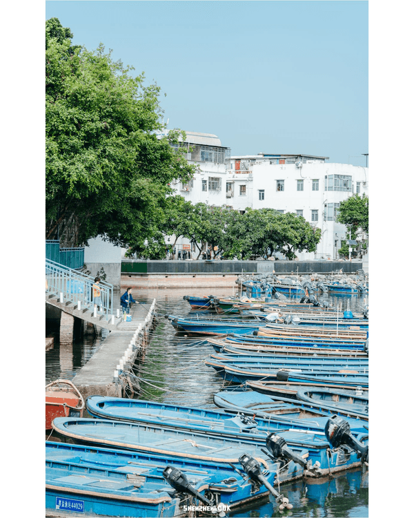 深圳鹽田10大必去打卡景點🌊山海書吧睇海放鬆一流☁️歐陸小鎮火車似去瑞士🚂