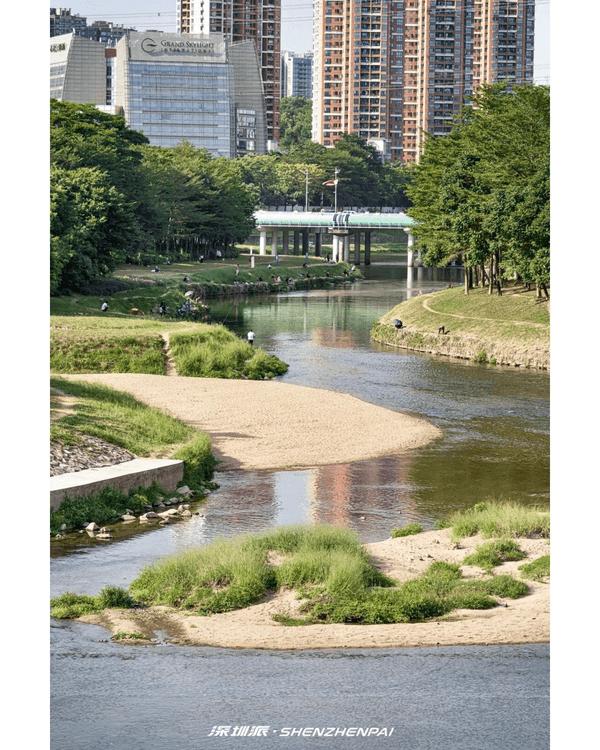 深圳新14.2km河畔單車綠道🌿臨河Cafe歎咖啡☕睇濕地公園再打卡百年古墟