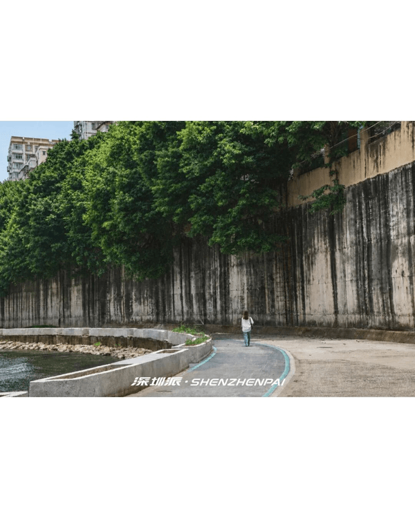 深圳新14.2km河畔單車綠道🌿臨河Cafe歎咖啡☕睇濕地公園再打卡百年古墟