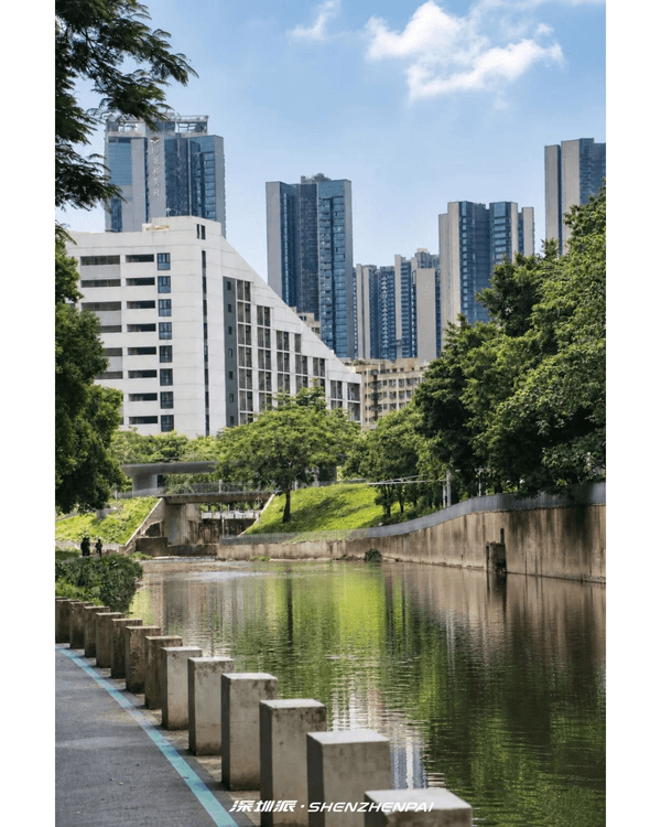 深圳新14.2km河畔單車綠道🌿臨河Cafe歎咖啡☕睇濕地公園再打卡百年古墟