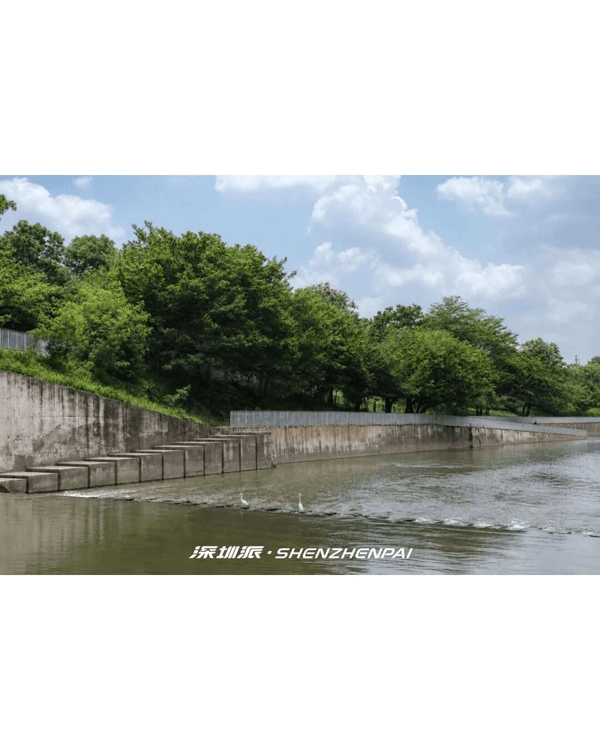 深圳新14.2km河畔單車綠道🌿臨河Cafe歎咖啡☕睇濕地公園再打卡百年古墟