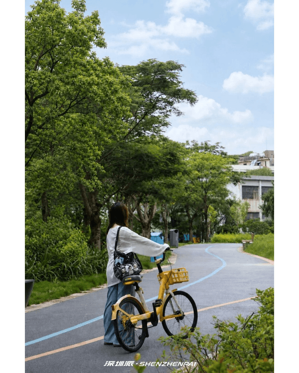 深圳新14.2km河畔單車綠道🌿臨河Cafe歎咖啡☕睇濕地公園再打卡百年古墟