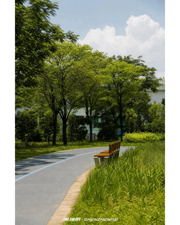 深圳新14.2km河畔單車綠道🌿臨河Cafe歎咖啡☕睇濕地公園再打卡百年古墟