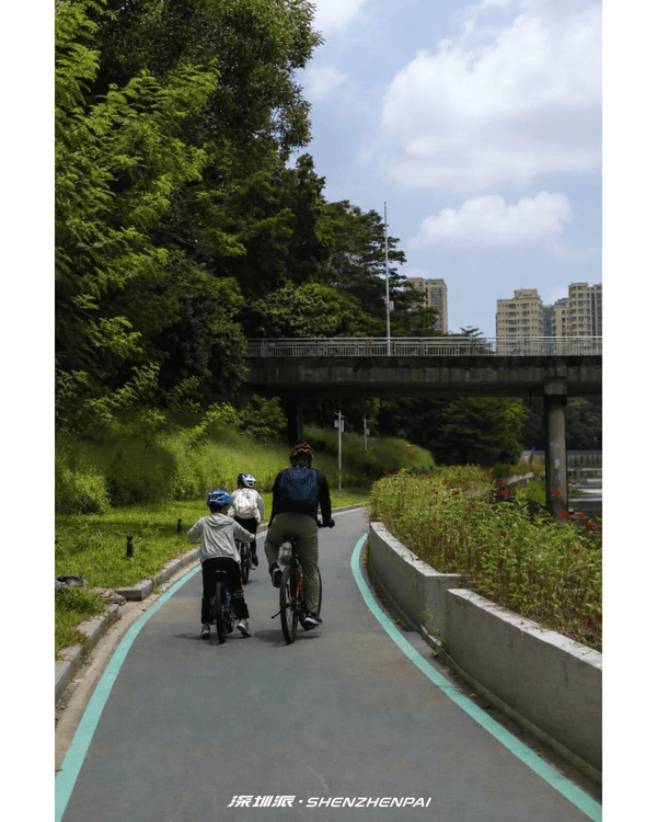 深圳新14.2km河畔單車綠道🌿臨河Cafe歎咖啡☕睇濕地公園再打卡百年古墟