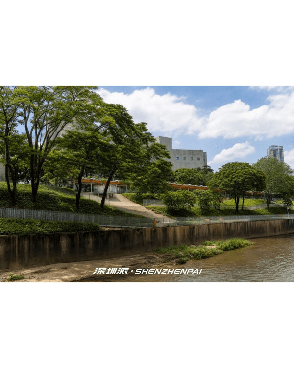深圳新14.2km河畔單車綠道🌿臨河Cafe歎咖啡☕睇濕地公園再打卡百年古墟