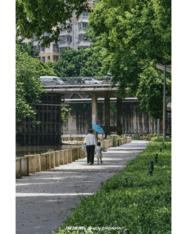 深圳新14.2km河畔單車綠道🌿臨河Cafe歎咖啡☕睇濕地公園再打卡百年古墟