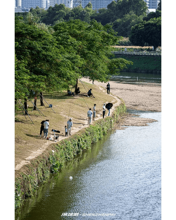 深圳新14.2km河畔單車綠道🌿臨河Cafe歎咖啡☕睇濕地公園再打卡百年古墟