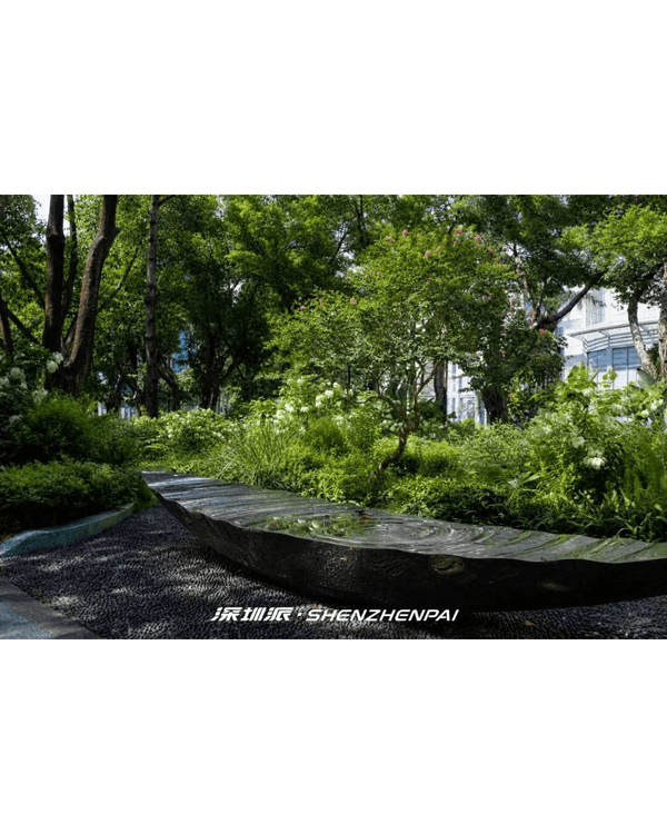 深圳新14.2km河畔單車綠道🌿臨河Cafe歎咖啡☕睇濕地公園再打卡百年古墟