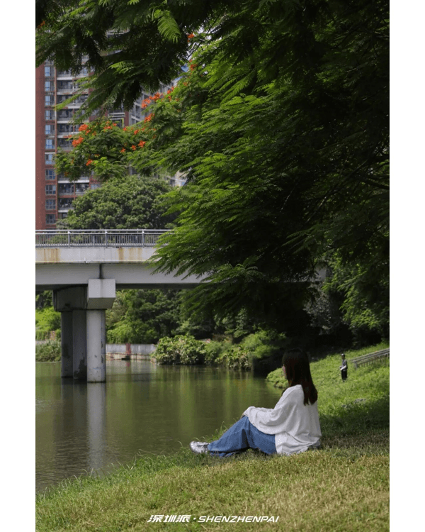深圳新14.2km河畔單車綠道🌿臨河Cafe歎咖啡☕睇濕地公園再打卡百年古墟