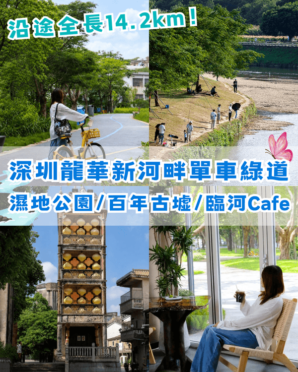 深圳新14.2km河畔單車綠道🌿臨河Cafe歎咖啡☕睇濕地公園再打卡百年古墟