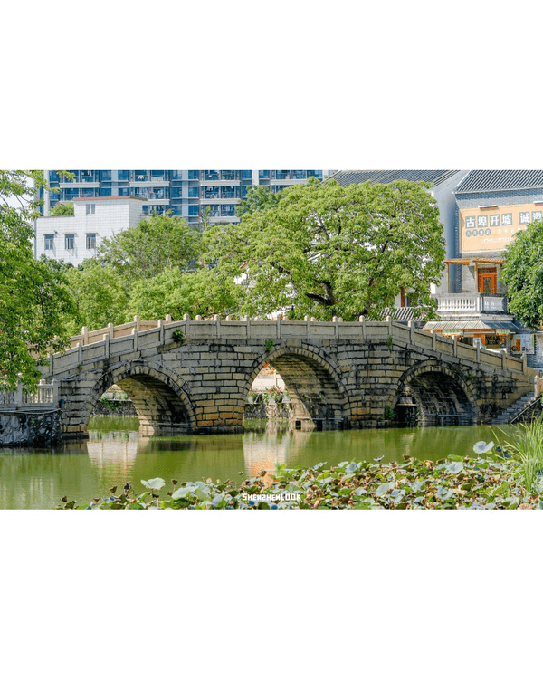 深圳沙井美食歷史Citywalk🦪逛盡800年古墟🚶‍♀️小故宮/羅馬廣場/12大老字號餐廳推薦