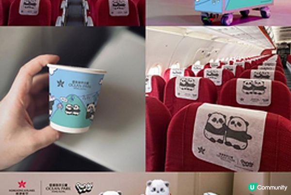 香港航空 X 海洋公園 Panda Friends彩繪客機全面升級