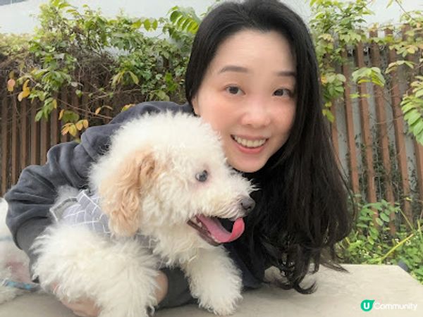 外在治癒 ‧ 內在補充 ∮ BIPO全面修護治療效果提升及放大３倍！
