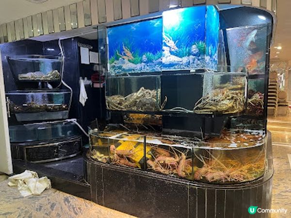 團年必吃！矜貴和味鮑魚伴秋葵 + 招牌明爐極品燒鵝皇