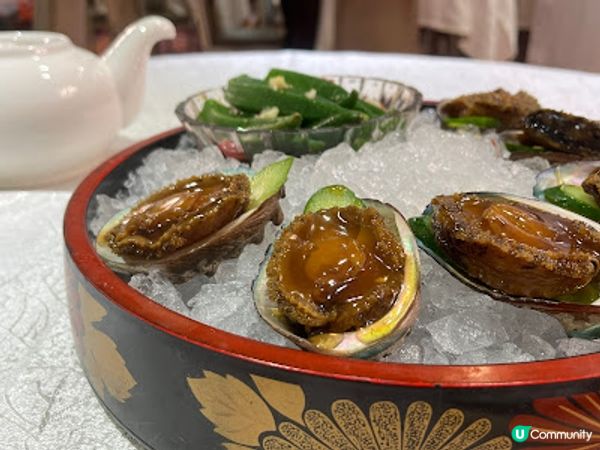 團年必吃！矜貴和味鮑魚伴秋葵 + 招牌明爐極品燒鵝皇