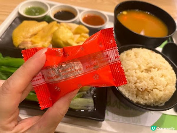 不可不吃《栢檔極品海南雞飯》※ 正宗滋味