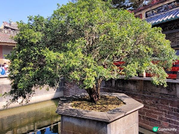 佛山之旅精選遊