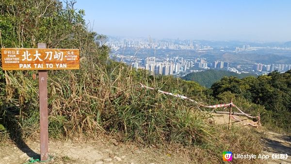 2024大年初三，粉嶺-北大刀屻-大刀屻-嘉道里農場