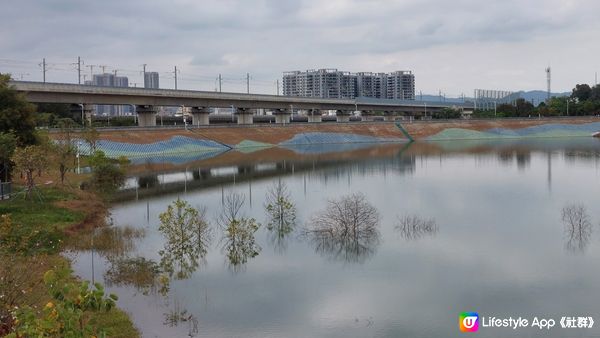 深圳虹橋公園