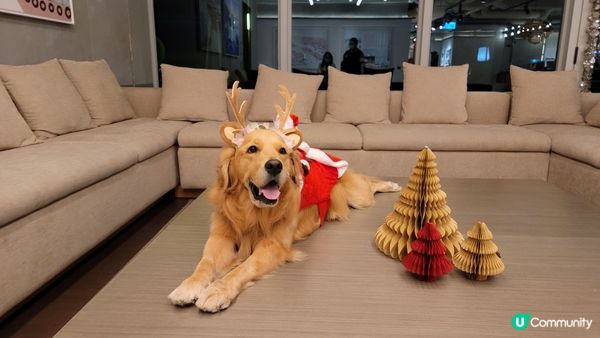 2021年12月抽中咗某美容院大獎，可以同 MoonMoon...