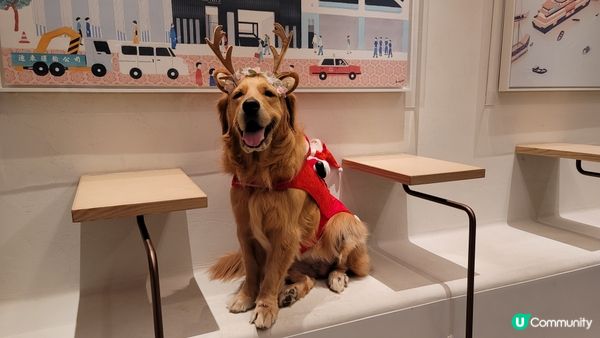 2021年12月抽中咗某美容院大獎，可以同 MoonMoon...