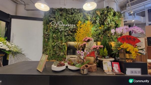 靜修素食之《OVO CAFE》