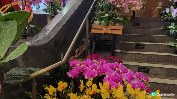 靜修素食之《OVO CAFE》