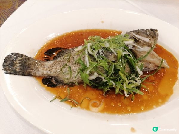 孖寶套餐，清蒸生猛海斑約1斤+招牌柚子蝦球