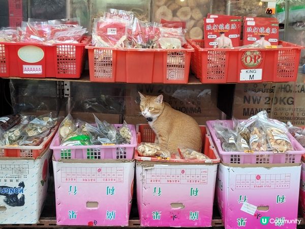 唔好阻住我睇街