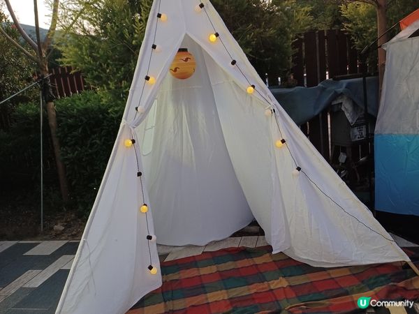 （限定）最後*26～27/11