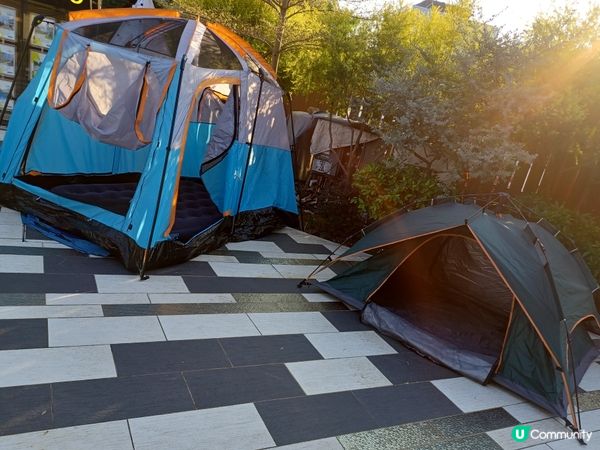 （限定）最後*26～27/11