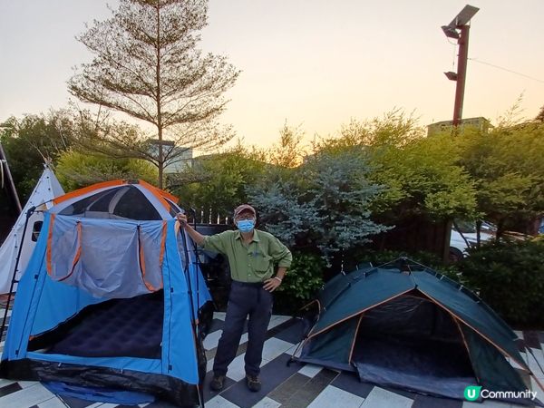 （限定）最後*26～27/11