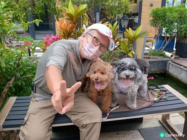 （限定）最後*26～27/11