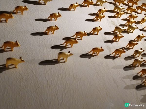 影漏咗個nachos𠻹😅