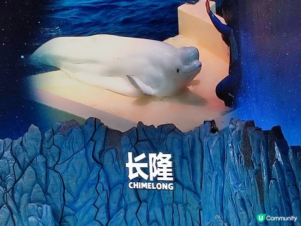 海洋生物及機動遊戲